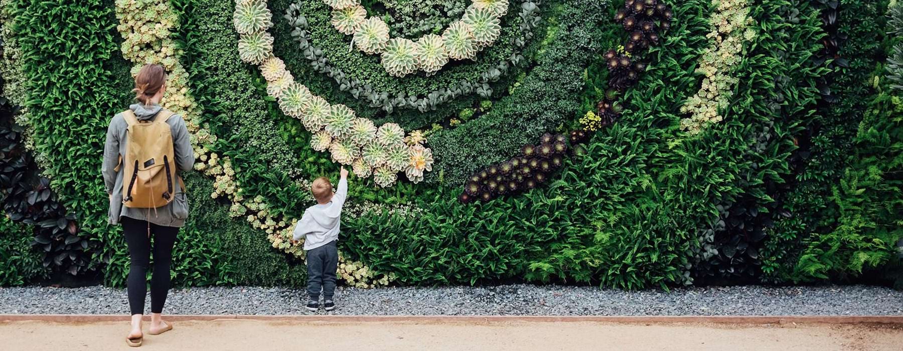 a mom and her son looking at a wall of plants